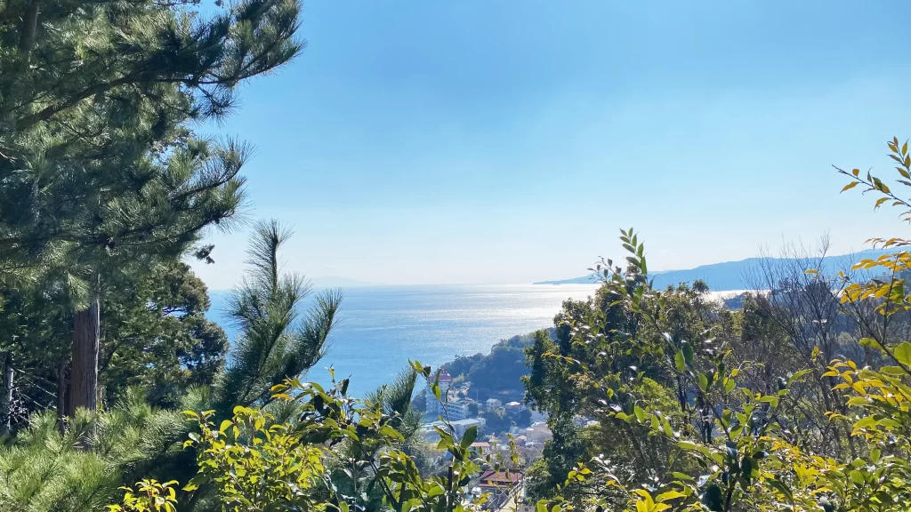 伊豆山神社境内から見下ろす相模湾