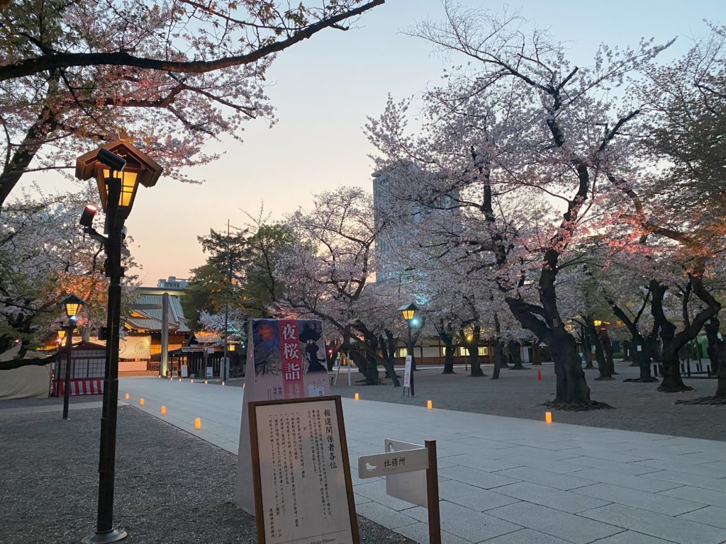 夜桜詣