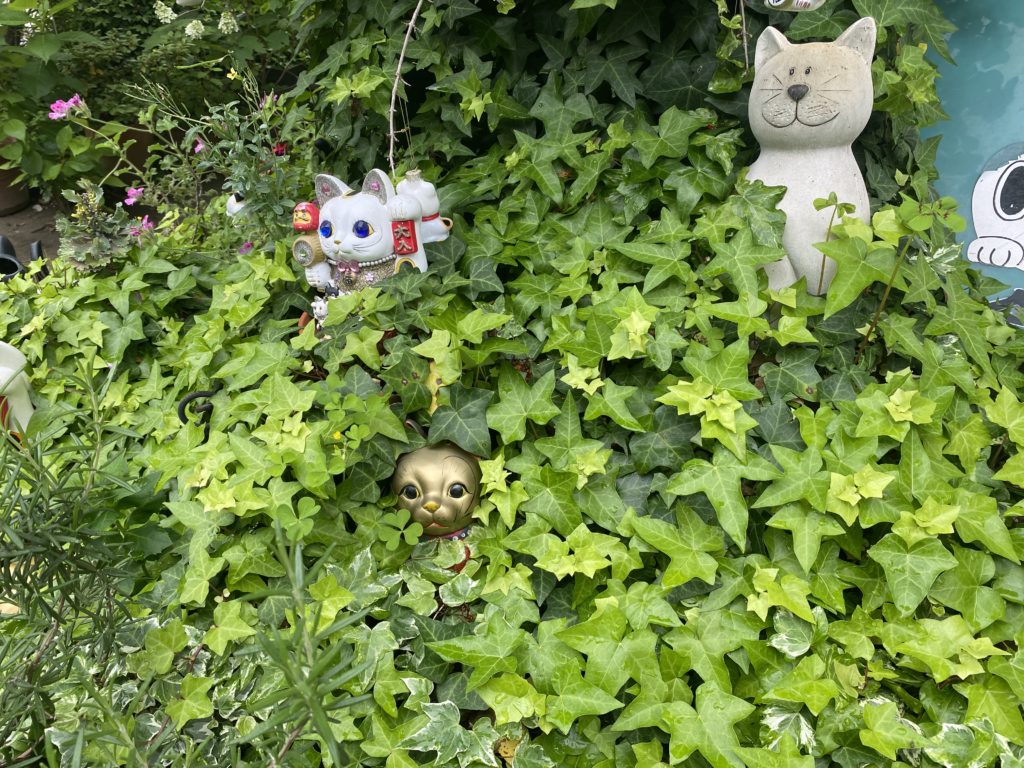 今戸神社　茂みにも招き猫がたくさん