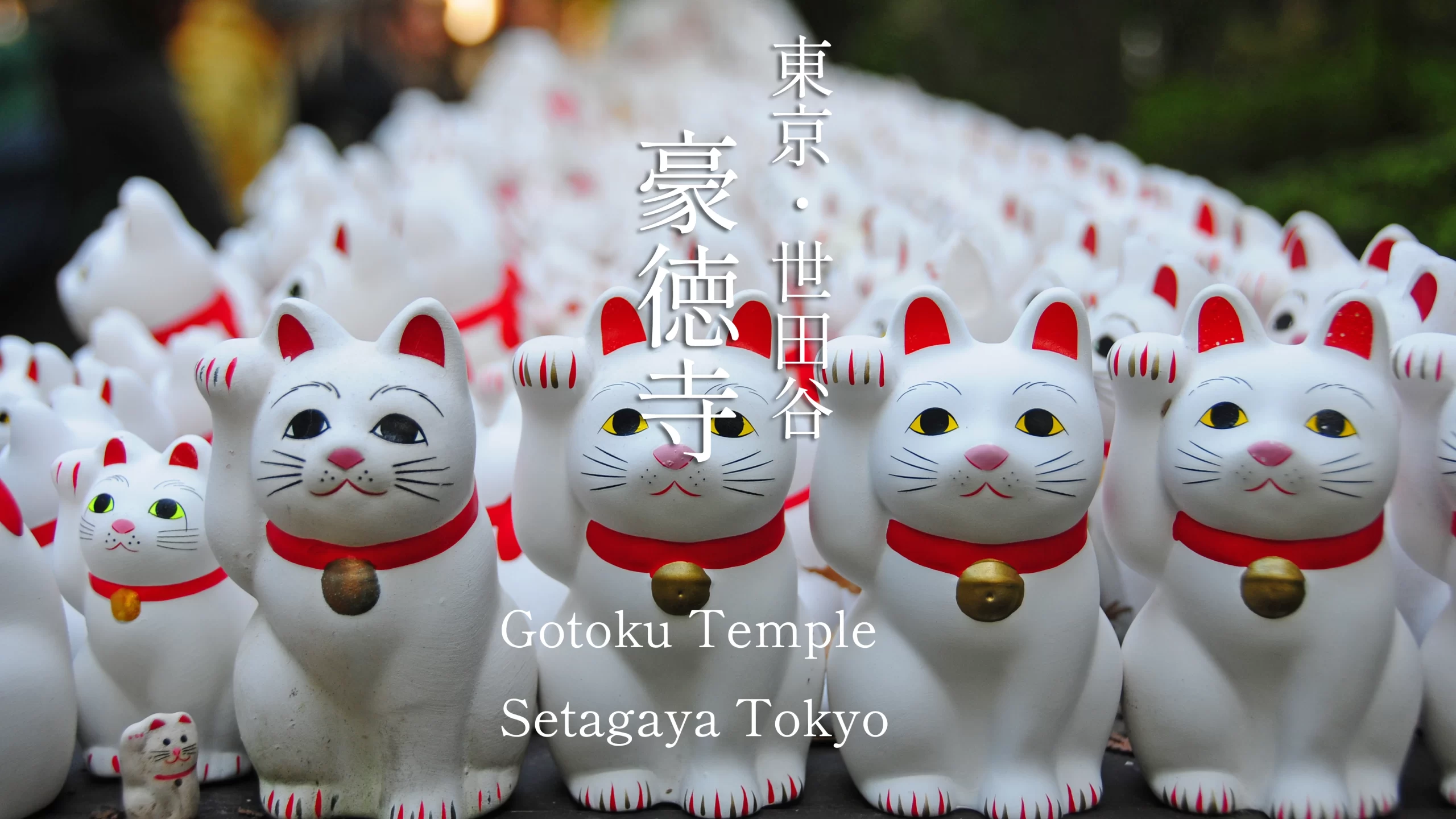 猫好きの聖地！世田谷「豪徳寺」で無数の招き猫に癒される。その由来と伝説とは？