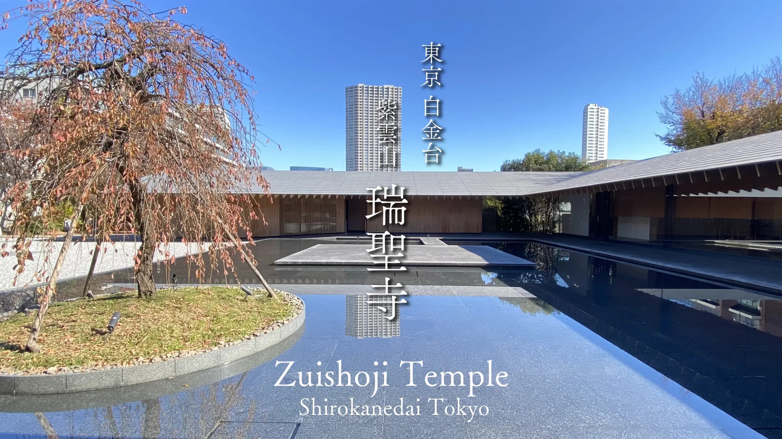 白金台の隠れたアートスポット｜隈研吾が紡ぐ「瑞聖寺」の静寂とモダン