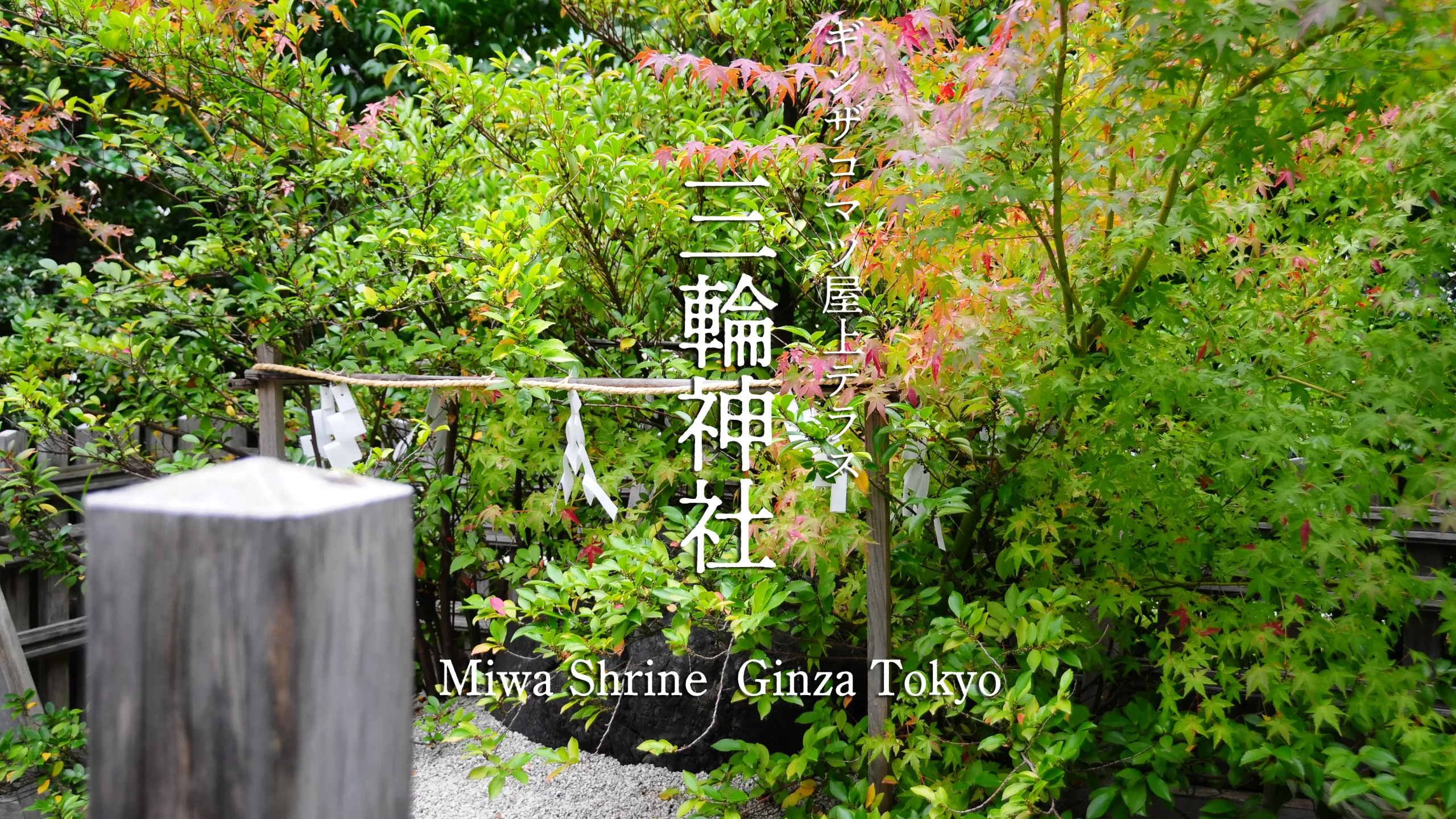 三輪神社アイキャッチ画像