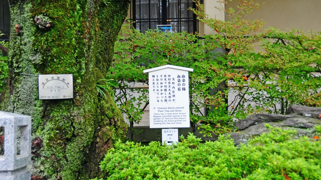 血染めの梅、血染の岩