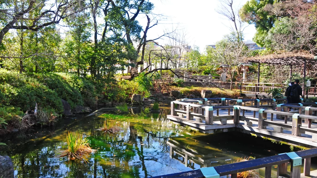 東郷神社神池