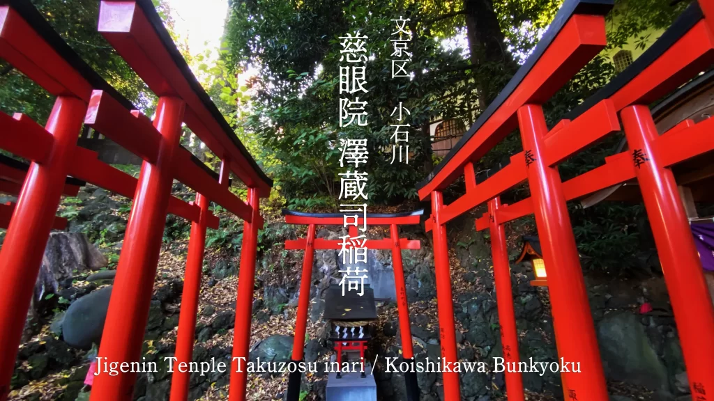 澤蔵司稲荷アイキャッチ