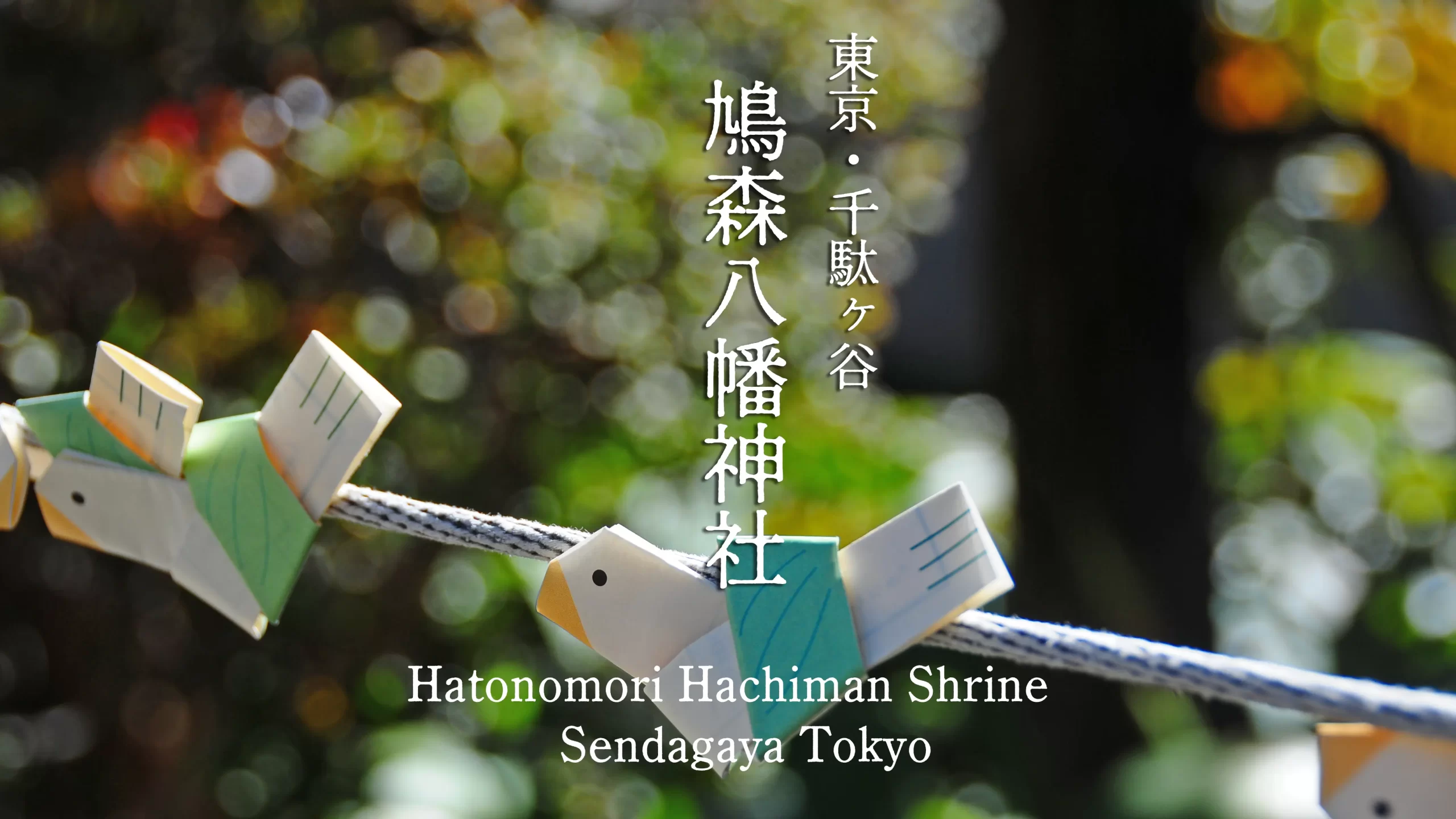【千駄ヶ谷】鳩森八幡神社の見どころ完全ガイド！都内最古の富士塚に将棋堂、可愛い鳩みくじで運気アップ