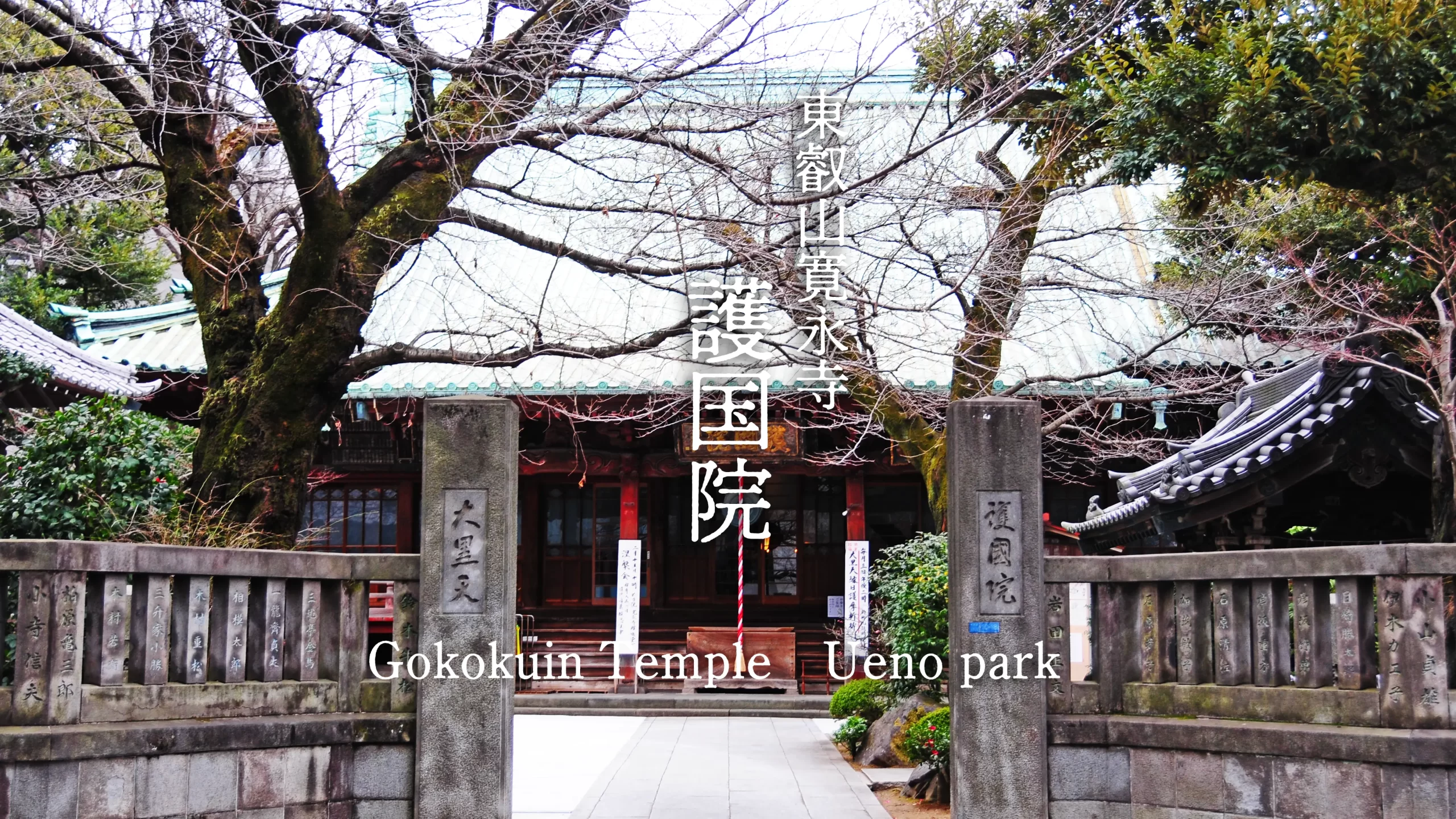 上野公園の隠れ家・護国院。谷中七福神の大黒天を本堂で間近に拝観する癒しのひととき