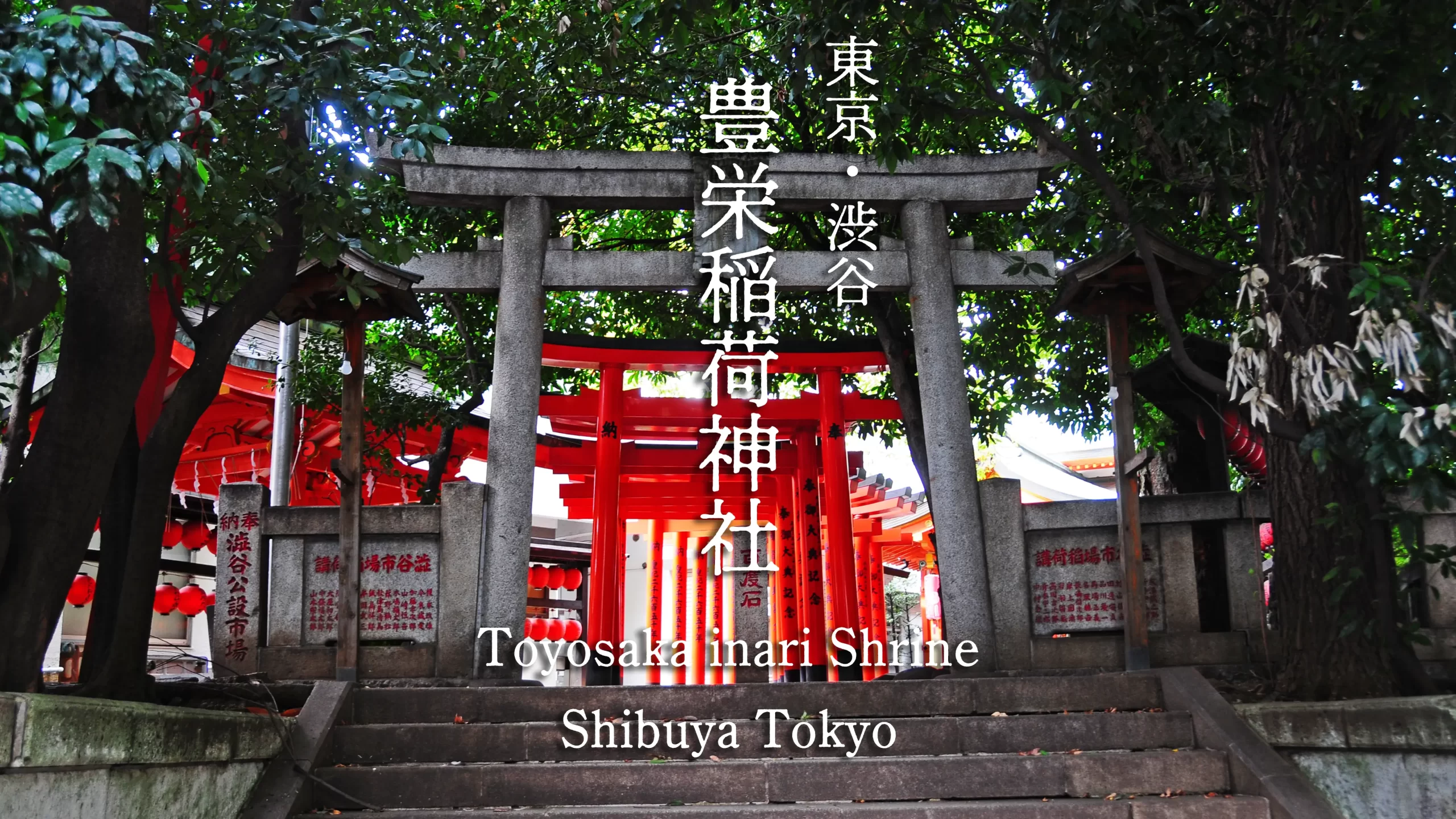 渋谷の隠れパワースポット「豊栄稲荷神社」参拝ガイド｜朱色の鳥居が導く静寂の聖域