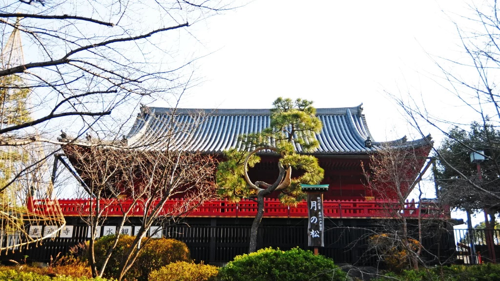 清水観音堂月の松