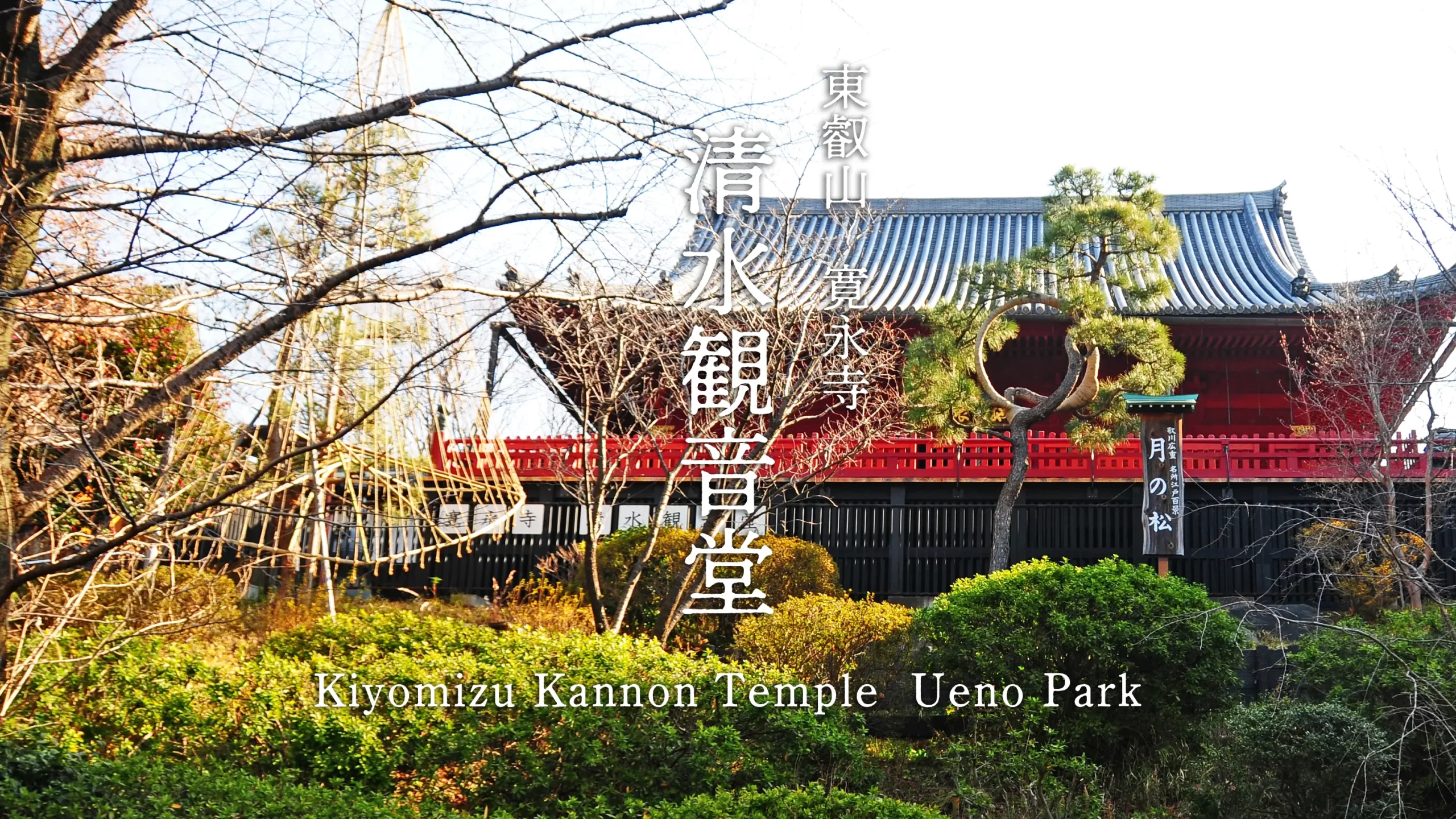 清水観音堂アイキャッチ画像