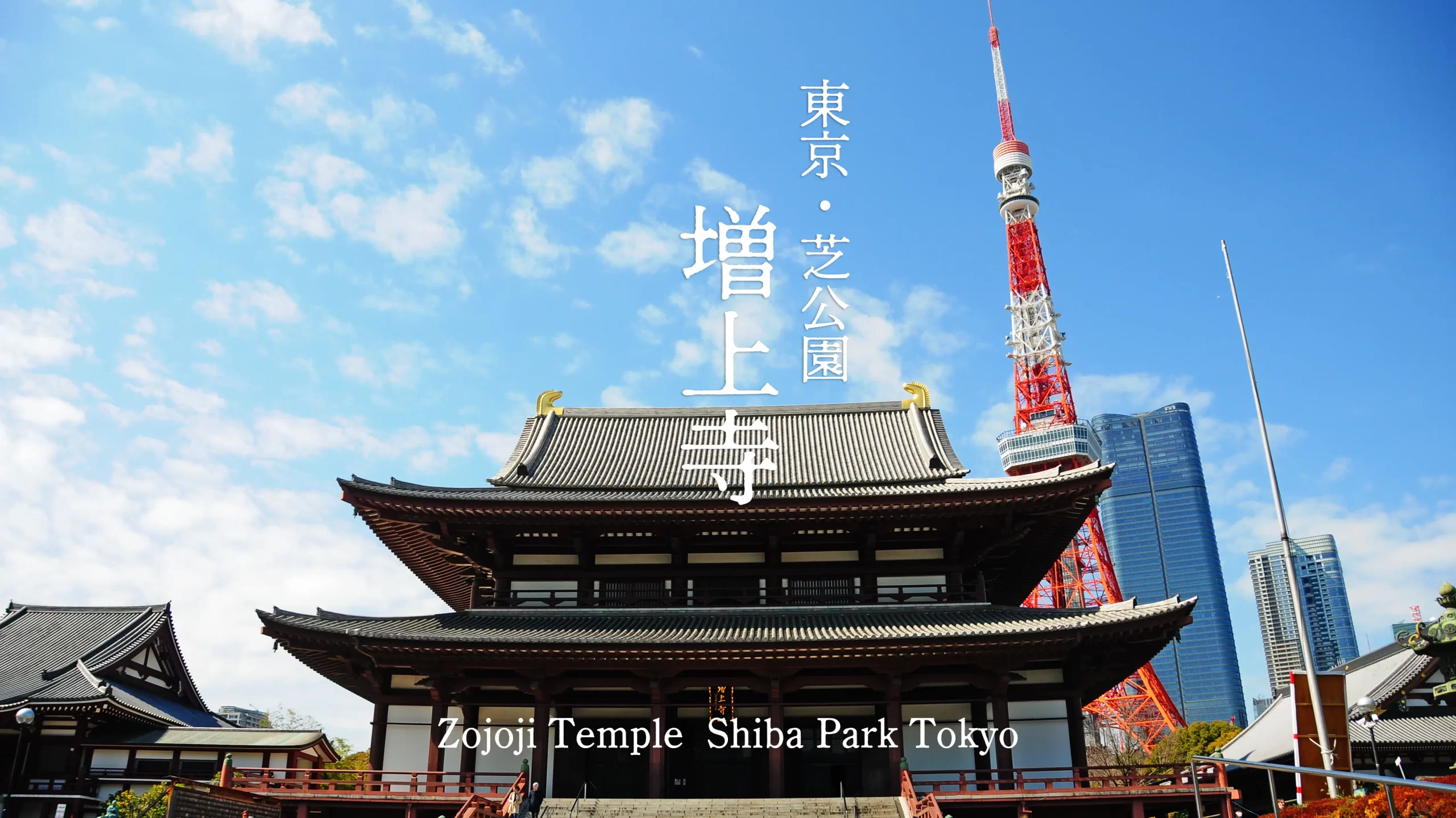 【増上寺】江戸を護る光の龍穴。増上寺で受け取る、富士山からの壮大な癒やしと勝運の風