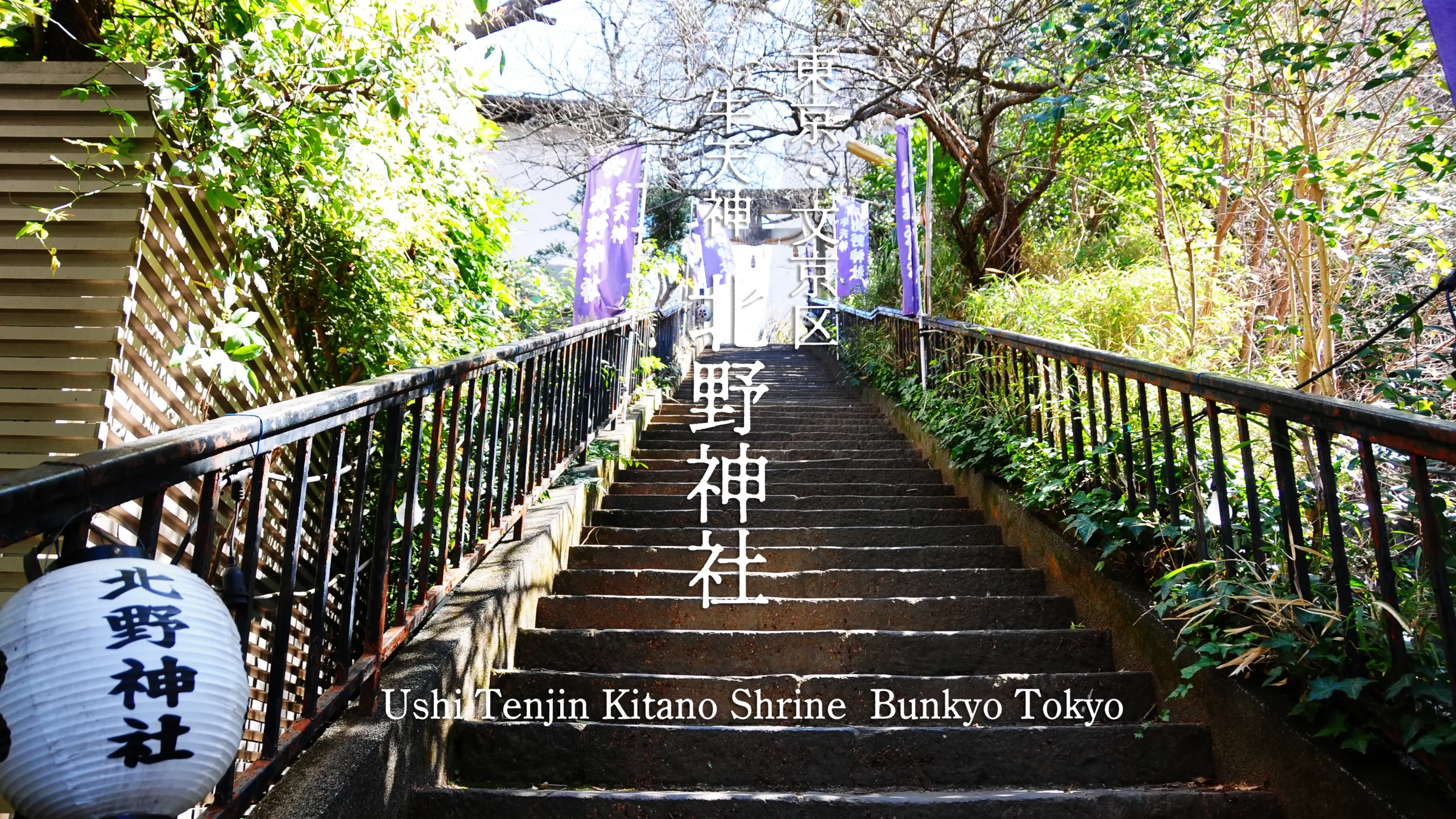 【文京区】住宅街に潜む癒しのパワースポット。牛天神北野神社で見つけた愛らしい狛犬と心温まるおもてなしと貧乏神伝説